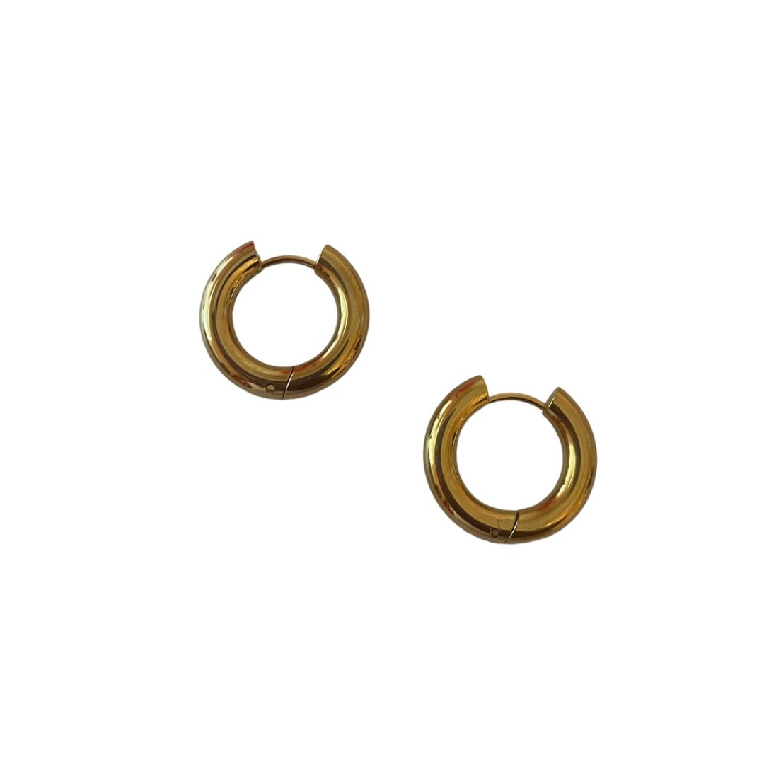 The Tiny Circle Earrings