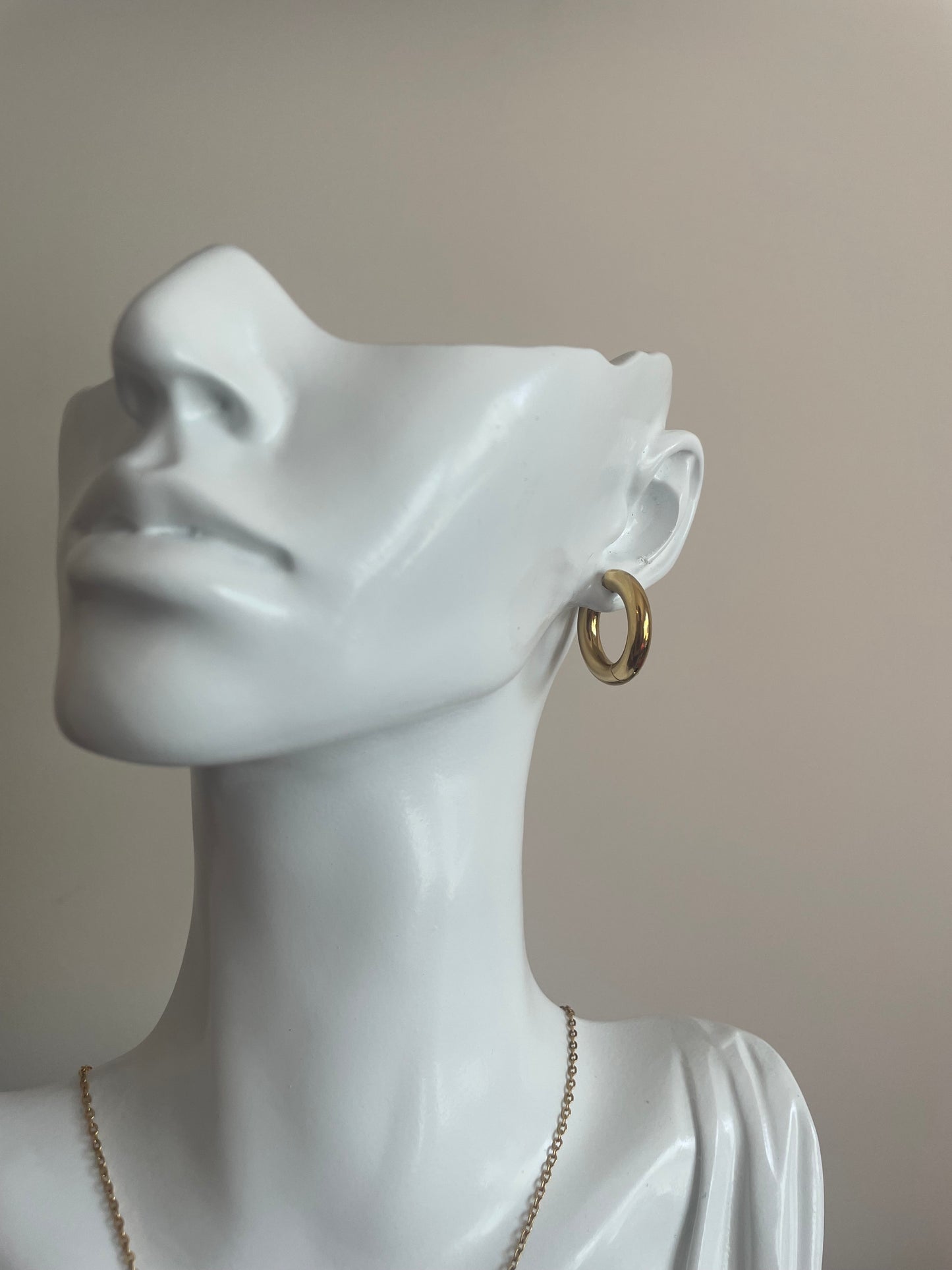 The Tiny Circle Earrings
